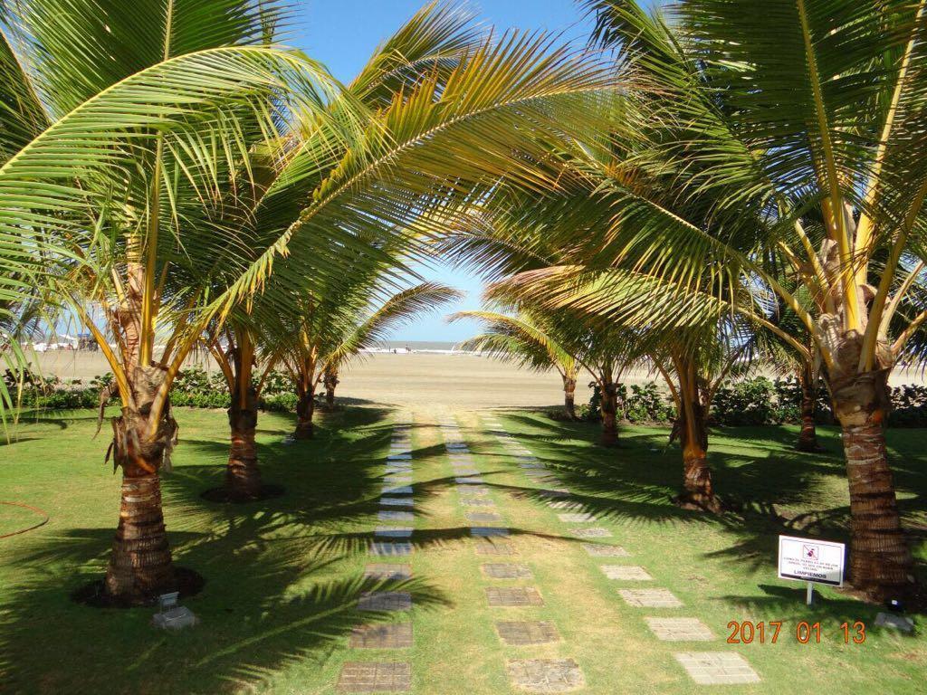 Morros Ultra's Best Seaview Apartamento
